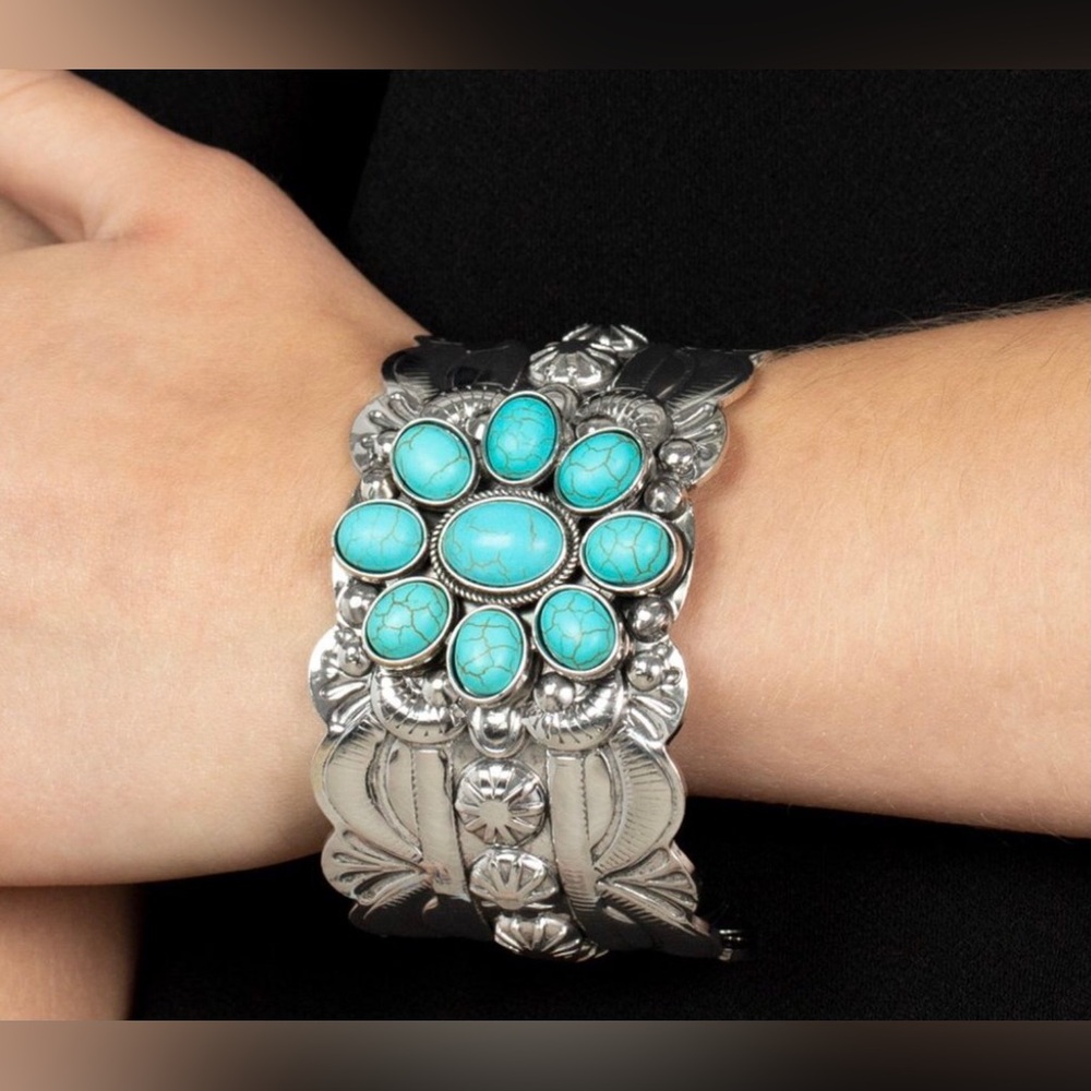 Paparazzi accessories